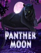 เจาะลึกสล็อต ฟรี ส ปิ น ถอน ได้ ฟีเจอร์สุดเจ๋งจากค่าย Jili